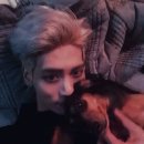 종현 카카오 검색결과