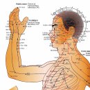 더의선한의원 이미지
