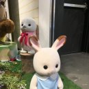 다솜문구완구