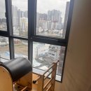 체형&채형 이미지