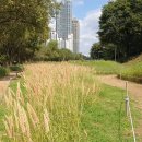 개포이레공인중개사사무소 이미지