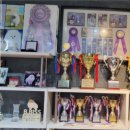 탑클래스 펫 이미지