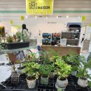 코엑스 2026 더 메종 THE MAISON 박람회 후기 | 리빙박람회, 리빙전시회, 코엑스박람회 추천