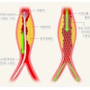 하대동392 이미지