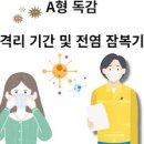 A형 독감 기간 잠복기 검사 비용 격리 기간 정리 이미지