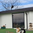 스테이 노네 이미지