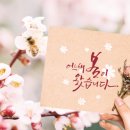 H1019 이미지