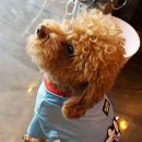 힐링포차 이미지