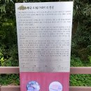 백제문화체험박물관 이미지