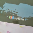 백령베델수산