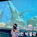 우석헌자연사박물관 | 경기 남양주 아이와 가볼 만한 곳 우석헌 자연사 박물관
