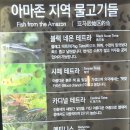 한국복권기술(주) | ​[광명 가볼만한곳] 광명동굴 볼거리 완벽탐방 코스총정리 (빛의터널·역사관·와인동굴)