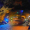 온평동로 이미지