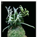 관암농장 이미지