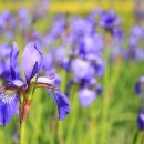 신평1동-14 이미지