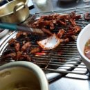황가네숯불꼼장어구이