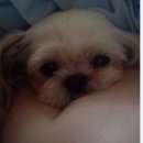 용현초등학교 이미지