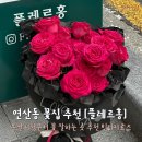 GS25 연제새한점 | 부산 연산동 꽃집 플레르홍 기념일 꽃다발 추천 후기