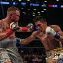 산타 크루즈 이미지