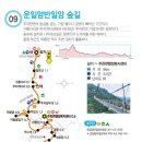 숲323 이미지