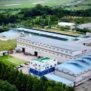 대한철강 이미지