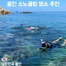 동해바다 | 국내 스노클링 명소 찾는다면? 울진 봉수항 물고기 많은 동해 바다 물놀이 후기