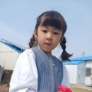 수청별빛태권도장 네이버블로그