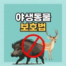 야생사슴농장 이미지