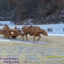 워낭농장 이미지