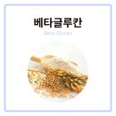 한국모바닉
