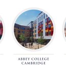 디엘디(DLD) 이미지