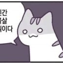 모두의만족 - 용인시 기흥구 갈곡로 3 | 모두의만족