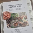 등고개2 | 난각번호1번 등고개농장 프리미엄 유정란 솔직후기