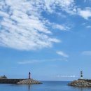 녹색의 추억 이미지