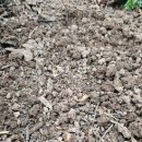 가랑농장 이미지