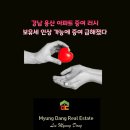 뉴강남부동산중개사무소 이미지