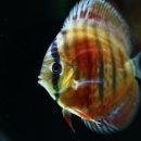 내외로R 이미지