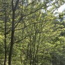 참좋은궁 이미지