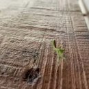 찾아가는 행정사 이미지