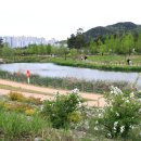 세종호수공원 야간 산책로 이미지