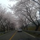 하동수제강정
