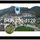 대지상회 이미지