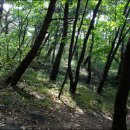 동편목장 이미지