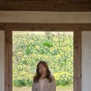 세자매목장 | 서산 수선화 지금 가도 될까? 유기방가옥 개화상황 + 포토스팟 총정리