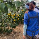 원준농장 이미지