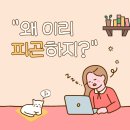 더한한의원 | [산본중심한의원] 40대 여성 영양제의 끝판왕, 공진단 효능과 복용법 완벽 정리