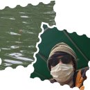 배양낚시터 이미지