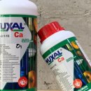 미래로1L 이미지