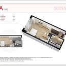 골든버터플라이 이미지