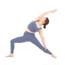 빈야사 & 전신 요가 이미지